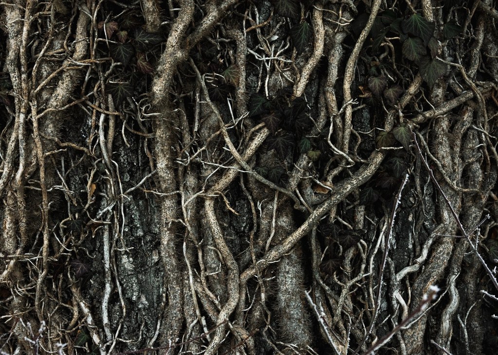Post Thumbnail for You really don’t have to put your CSS custom properties in :root {}