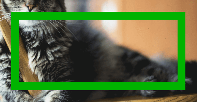 Screenshot showing what we get after the third primitive: just the middle frame, the one holding the background alpha on the green channel, but now with its alpha set to , fully opaque.