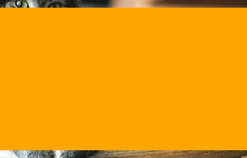 Screenshot showing the inner frame from before (holding the text RGB value) dilated in all directions to the point it has filled the entire filter area.