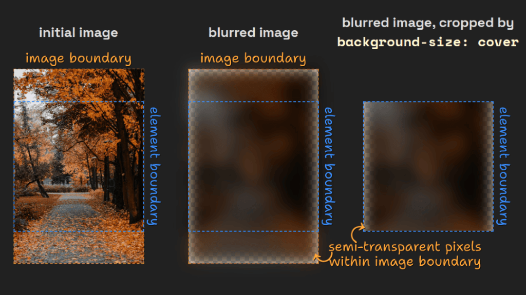 Illustration showing what happens. We have a portrait image used as a `cover` background for a square element. The image boundary thus extends outside the element boundary above and below. When blurring the image via the `filter()` function, the pixels close to the image boundary become transparent. After blurring, when the top and bottom ends of the portrait image are cropped by `background-size: cover`, the result still has semi-transparent edge pixels along the lateral sides.