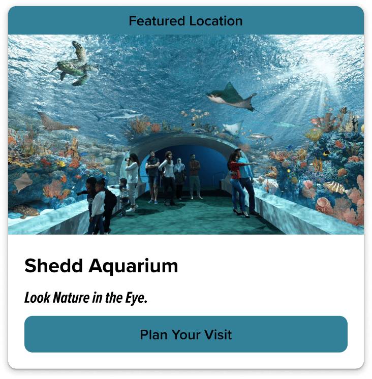 Card displaying Shedd Aquarium with a featured location banner, an underwater scene, title 'Shedd Aquarium', description 'Look Nature in the Eye.' and a button 'Plan Your Visit'.