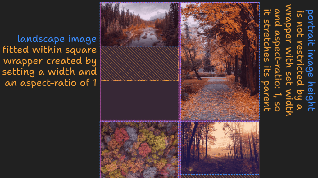 Screenshot. A 2×2 grid with a tentatively square box in each, each of these containing a non-square image, whose width is maxed out to `100%` of the parent box width. The height of an image is also maxed out to that of its square box parent in theory. In practice, this fails: the image `height` is not limited, it stretches its parent box and consequently, its parent's containing grid cell.