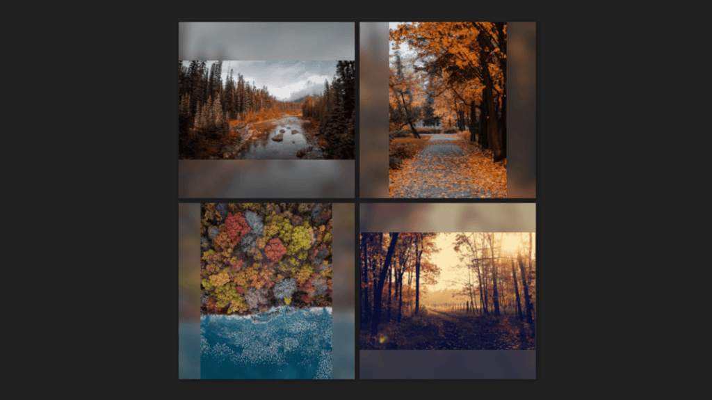 Screenshot. A 2×2 square grid with a non-square image contained and centered within each of the 4 square cells. The non-square images are padded with a blurred version of themselves up the containing square edges along the axis of their shorter side.